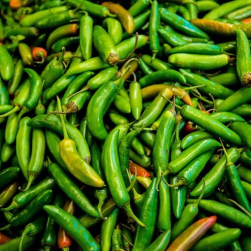 Serrano Chilli Seeds (10 seeds)