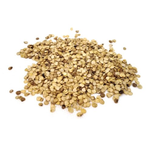 Habanero Chilli Seeds (10 seeds)