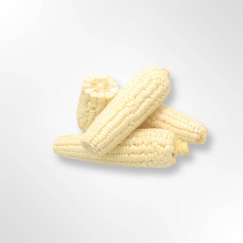 DELIVERY 15 KMS FROM MELBOURNE CBD ONLY: Pre cooked White Corn Cobs Pack of 3