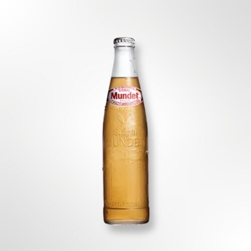 Sidral Mundet 370ml Glass apple soda
